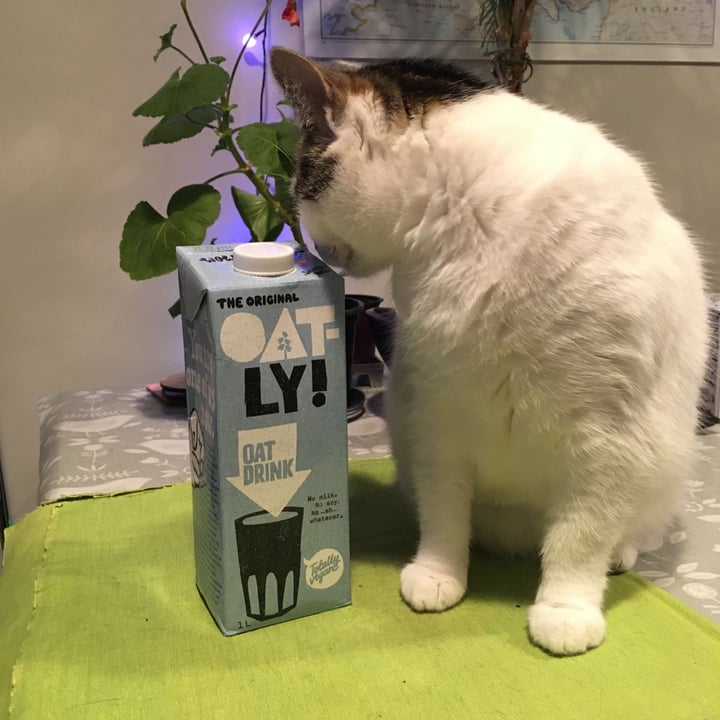 photo of Oatly Oat Drink shared by @addiec on  17 May 2020 - review