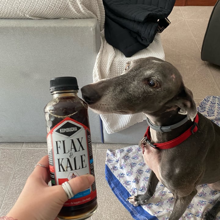 review photo of Flax & Kale Kombucha Kombucola shared by @nataliamartinez on 13 Nov 2022 - review