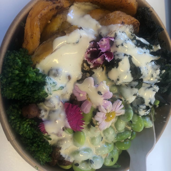 photo of Harvest Cafe Rainbow Buddha Bowl shared by @dominickara on  10 Jul 2021 - review