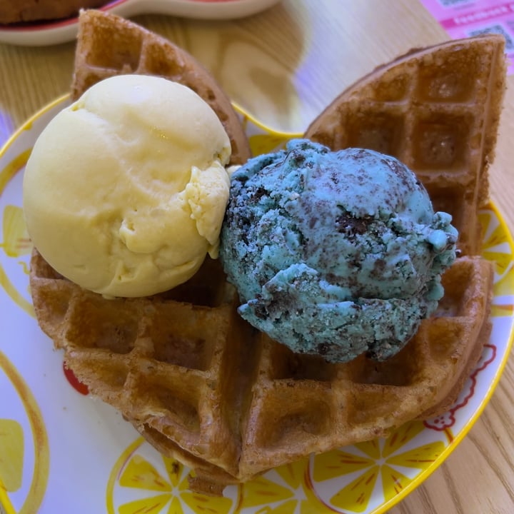 photo of Heartbreak Melts Ice Cream Cafe Waffles with 2 scoop of ice cream shared by @vegan-ravana on  24 Jun 2022 - review