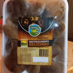 Cogumelo do campo