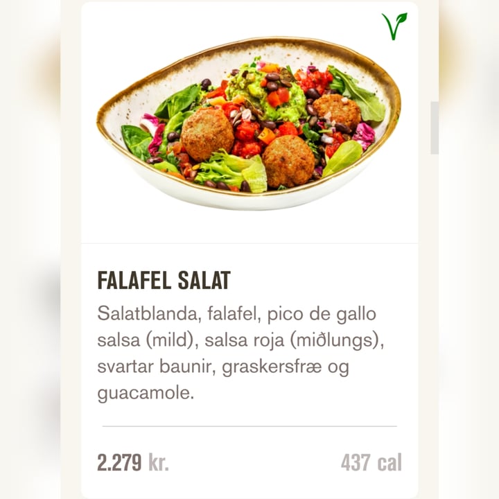 photo of Serrano Falafel salat shared by @veganiceland on  15 May 2022 - review