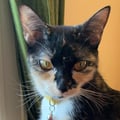 crissy @crissy profile image