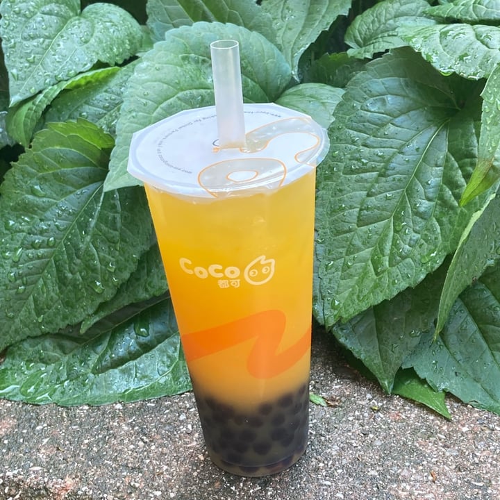 photo of CoCo Fresh Tea & Juice Mango Green Tea shared by @shlumpadinka on  01 Aug 2022 - review