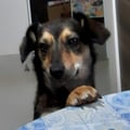 valentinealvim @valentinealvim profile image