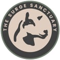 @surgesanctuary profile image