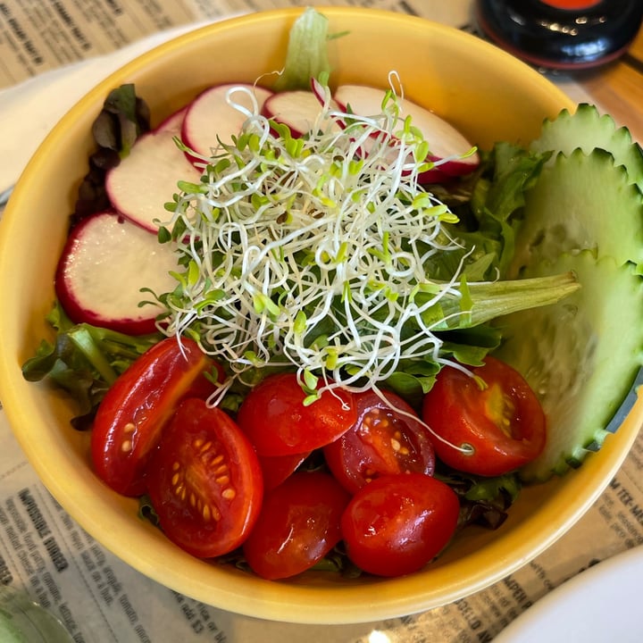 photo of Holi Vegan Kitchen House Salad shared by @sangria on  25 May 2021 - review