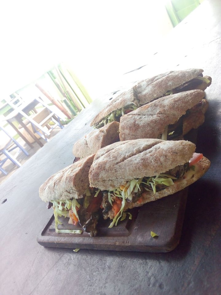 photo of Raíces Verdes Sandwich Verde shared by @patry1965 on  31 Jan 2020 - review