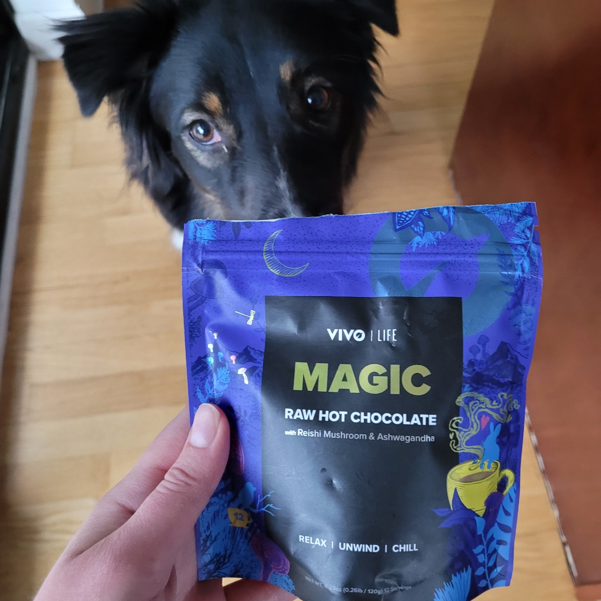 Vivo Life Magic Raw Hot Chocolate Reviews abillion