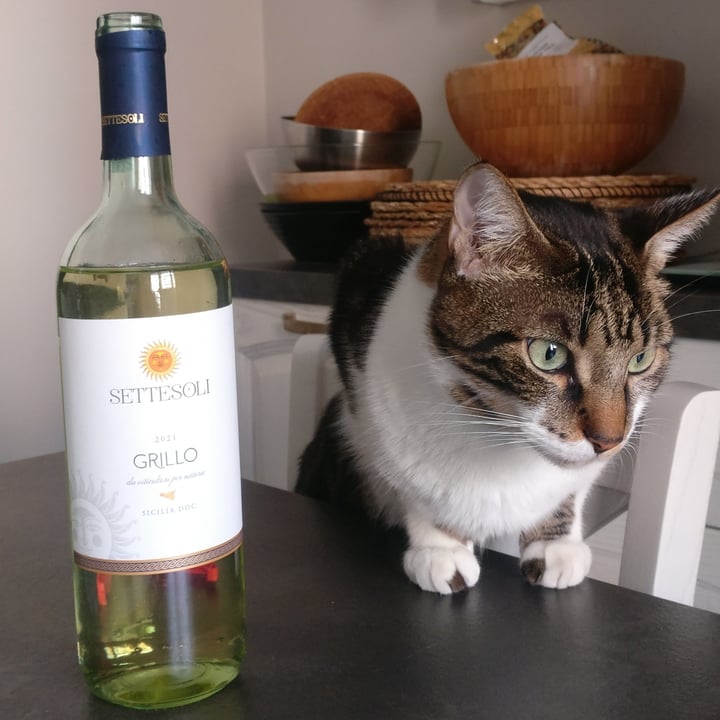 review photo of Settesoli Grillo shared by @lorella84 on 08 Nov 2022 - review