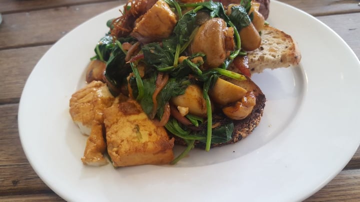 photo of Galleon Cafe Tofu Scramble shared by @jamieyew on  27 Jul 2019 - review