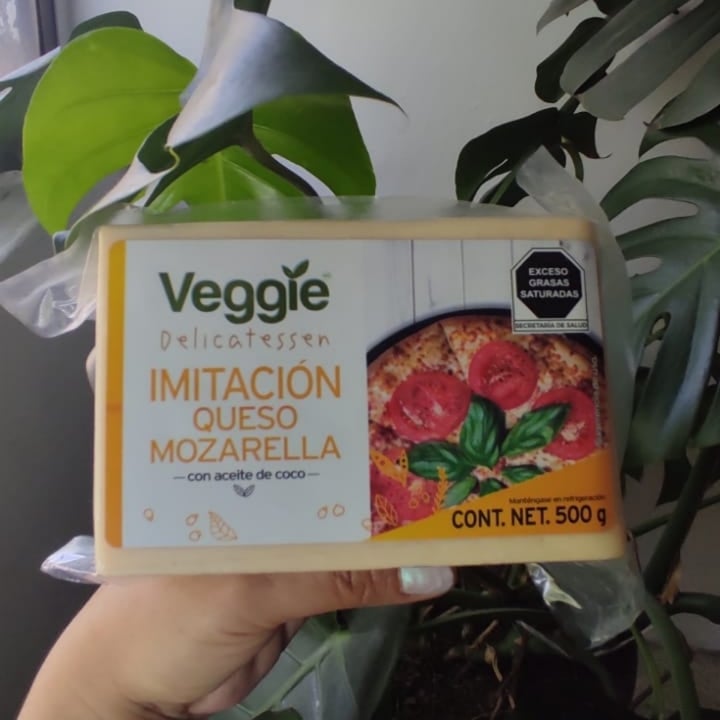 photo of Veggie Delicatessen Imitación Queso Mozzarella shared by @fuegosalvaje on  17 Feb 2022 - review