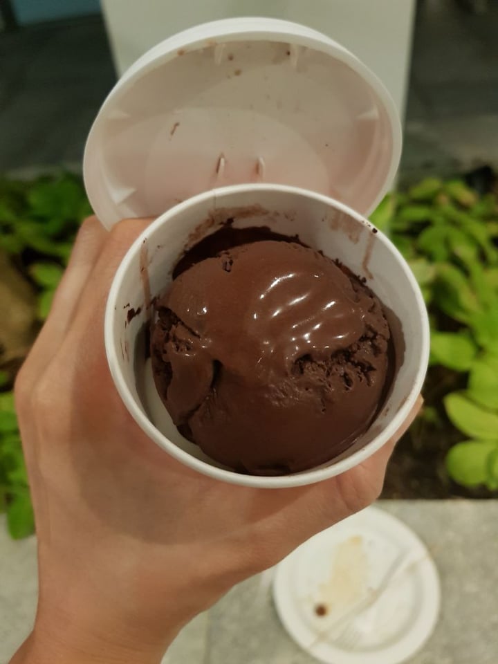 photo of Kind Kones Chocolate Sorbet shared by @sylchew on  08 Nov 2019 - review