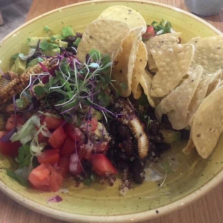 review photo of Kaylee's Eatery Taco Bowl shared by @renek123 on 25 May 2021 - review