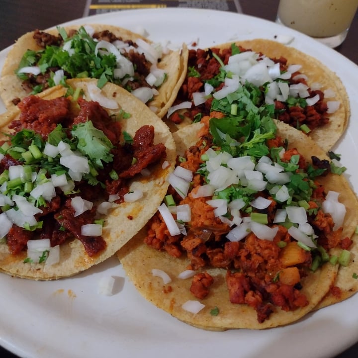 photo of VEGuerrero Taco de chicharrón shared by @edyara on  21 May 2021 - review