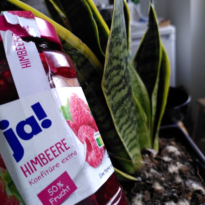 review photo of Ja! Himbeer Konfitüre shared by @kathalovesturtles on 25 Dec 2021 - review