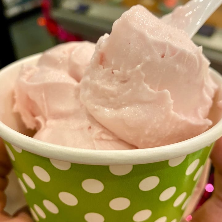 photo of Gelatology Strawberry Sorbetto shared by @veganexplorer on  07 Feb 2020 - review