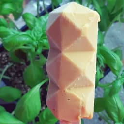 Dream Pops