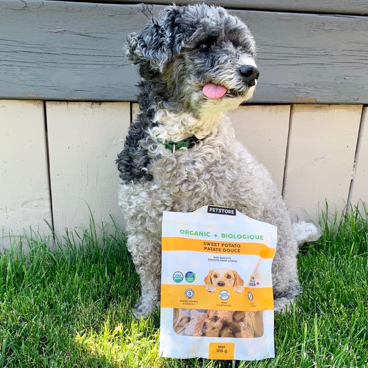 photo of PetStore Sweet Potato Dog Biscuits shared by @selene00 on  11 Jun 2021 - review
