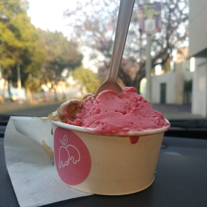 photo of The Good Gelato Helado shared by @arirofl84rv on  01 Jan 2022 - review