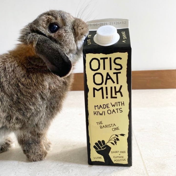 photo of Otis Oat Milk The Barista One shared by @summerong on  22 Dec 2020 - review