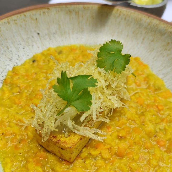 review photo of Gioia Restaurante & Terrazas Dahl de lentejas turcas con tofu grillado y papas pay shared by @mababu on 05 Feb 2022 - review