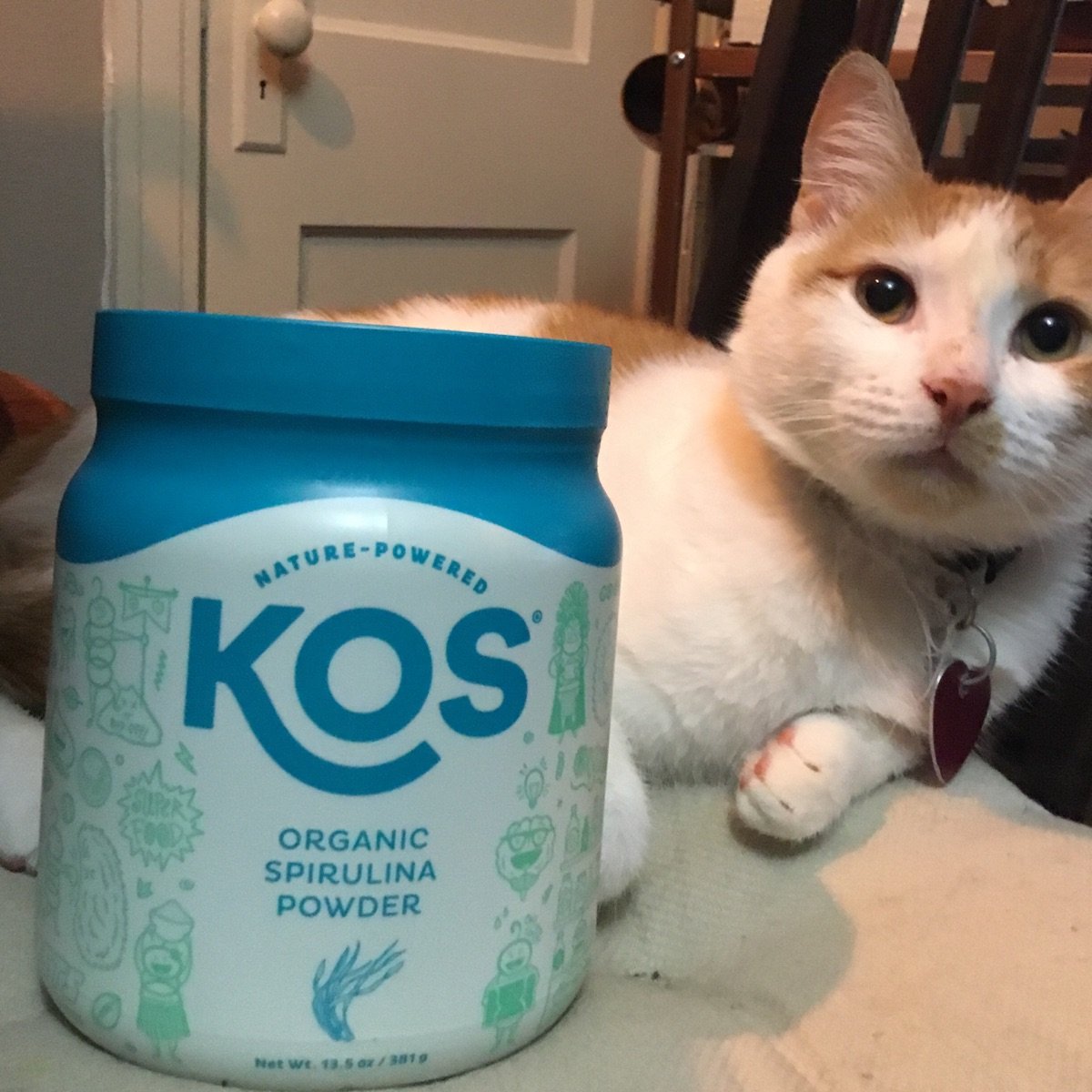 Kos Organic Spirulina Powder Green Blue Reviews abillion