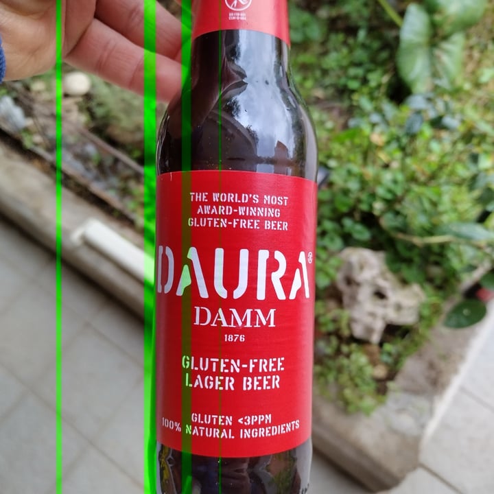 photo of Damm Cerveza Daura De Damm shared by @fabone82 on  28 Nov 2021 - review