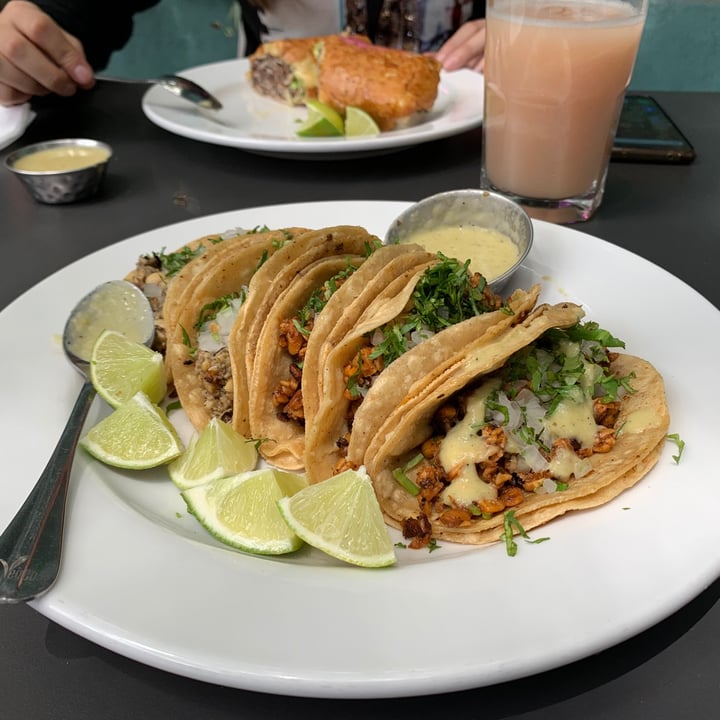 photo of VegCo. Restaurante Vegano Tacos shared by @benroy on  20 Jun 2021 - review
