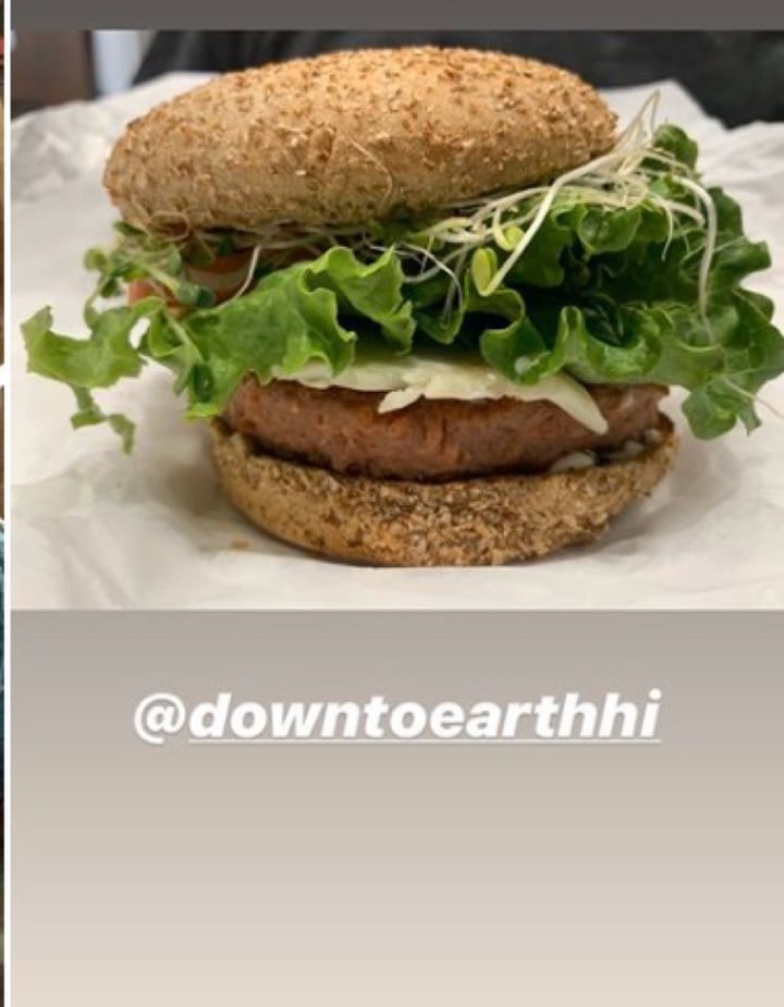 photo of Down to Earth Organic & Natural- Kailua Down to Earth Impossible Burger shared by @kuuipo on  25 Jan 2020 - review
