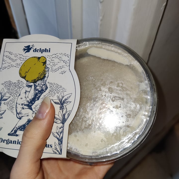 review photo of Delphi Organic Hummus shared by @hummuswhore on 31 Jul 2022 - review