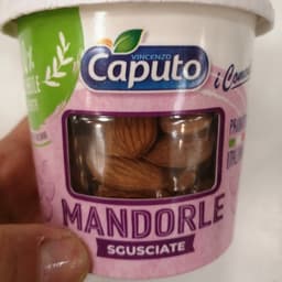 Vincenzo caputo Srl