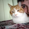 gc5 @gc5 profile image
