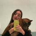 aleccisof @aleccisof profile image