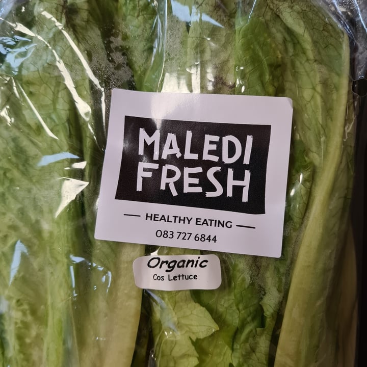 photo of Maledi Fresh Organic Cos Lettuce shared by @veronicagroen on  24 Aug 2022 - review