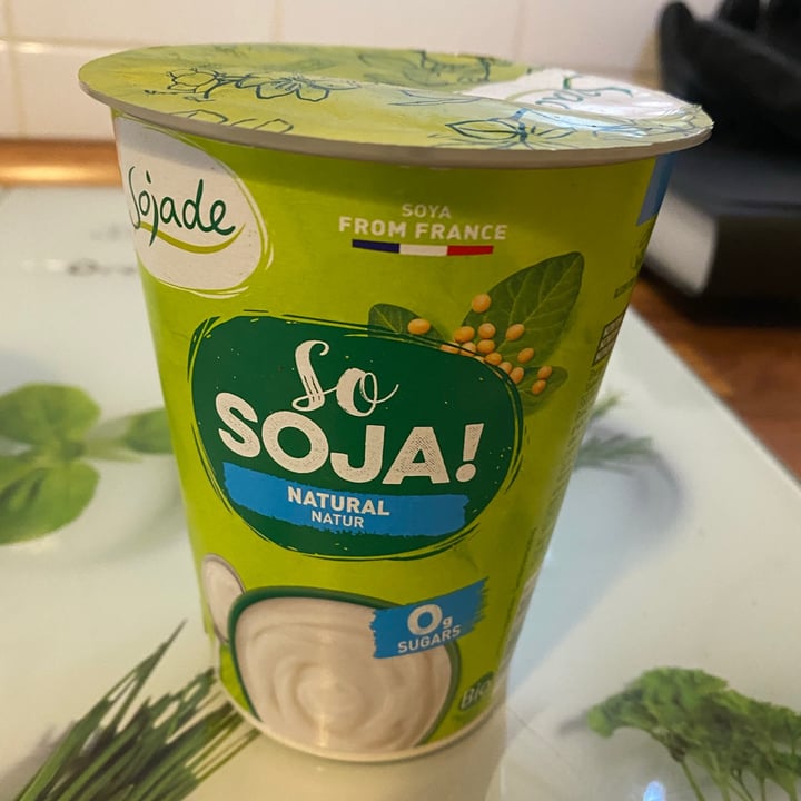 photo of Sojade So Soja! Natural Soya Yogurt alternative 400g shared by @greenhappy on  05 Jan 2021 - review