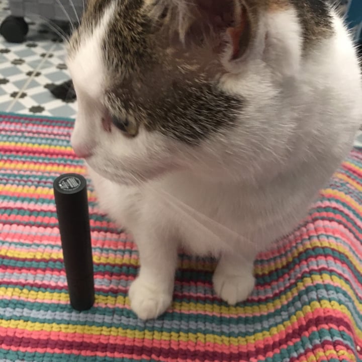 review photo of KVD Beauty Go Big or Go Home Mascara shared by @addiec on 20 May 2020 - review