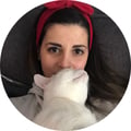 envisioningvegan @envisioningvegan profile image