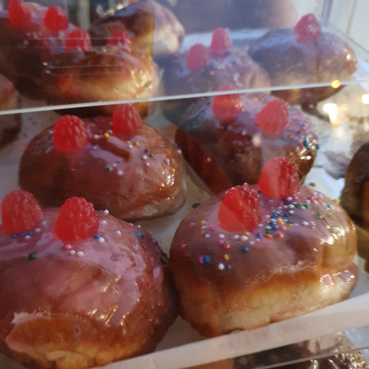 Disco Biscuits Donuts Candy Land Donut Reviews abillion