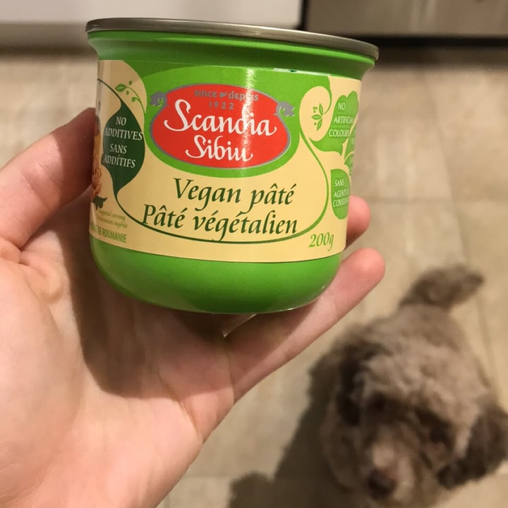 photo of Scandia sibiu Vegan Pate shared by @nadvlad on  22 Jan 2021 - review