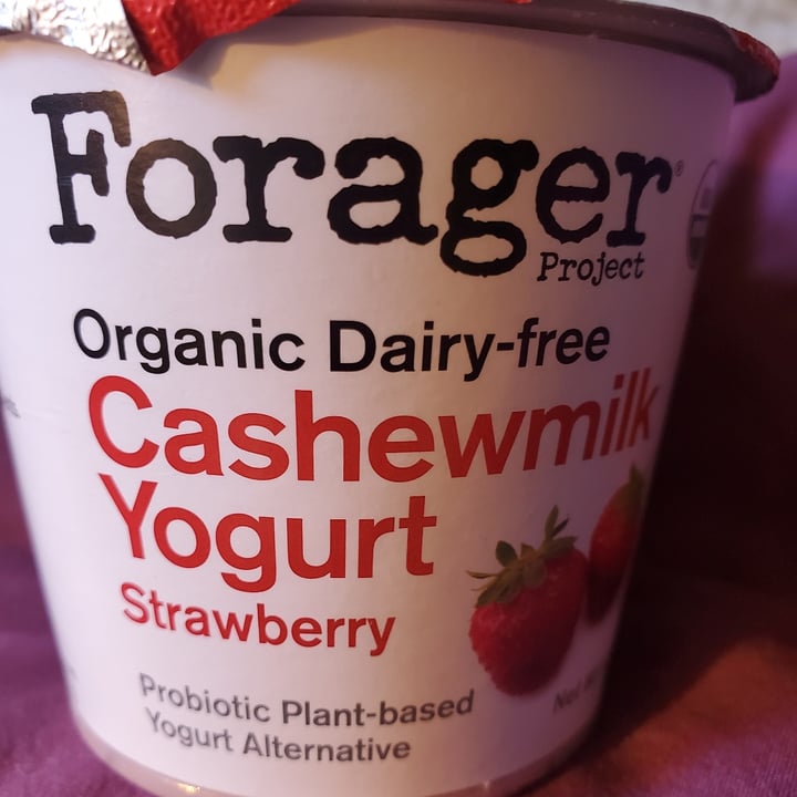 photo of Forager Project Organic Dairy-free Cashewmilk Yogurt Strawberry shared by @beautybyelaine1014 on  20 Nov 2020 - review