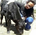 taniasch @taniasch profile image