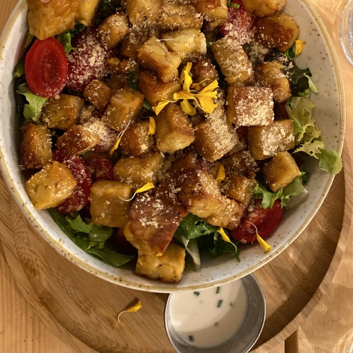 review photo of Aromaticus ceasar tempeh salad shared by @usernamepls on 08 Sep 2022 - review