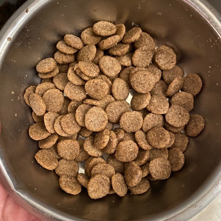 photo of Natural Balance Natural Balance Dog Food shared by @davyd9 on  04 May 2020 - review