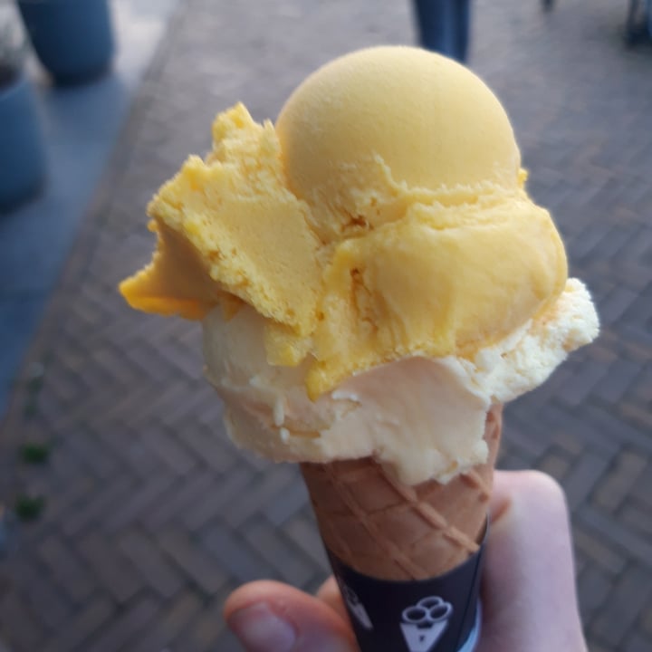 review photo of Ice cream Luciano Heemstede - Aerdenhout Ice Cream 100% Plantbased shared by @chiariz94 on 12 Apr 2022 - review