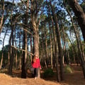 abruiridoy @abruiridoy profile image
