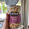 Cedar Phoenicia