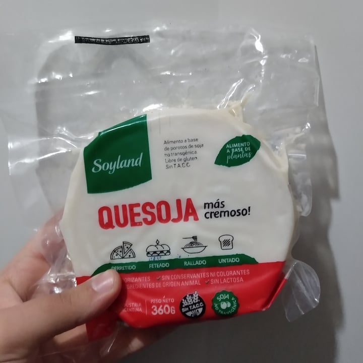 photo of SoyLand Queso de soja/quesoja shared by @tamara-mascarini on  04 Jun 2022 - review