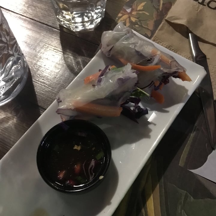 review photo of rOOTS Vegetarian & Vegan Place Winter rolls shared by @afroditi on 02 Jun 2019 - review