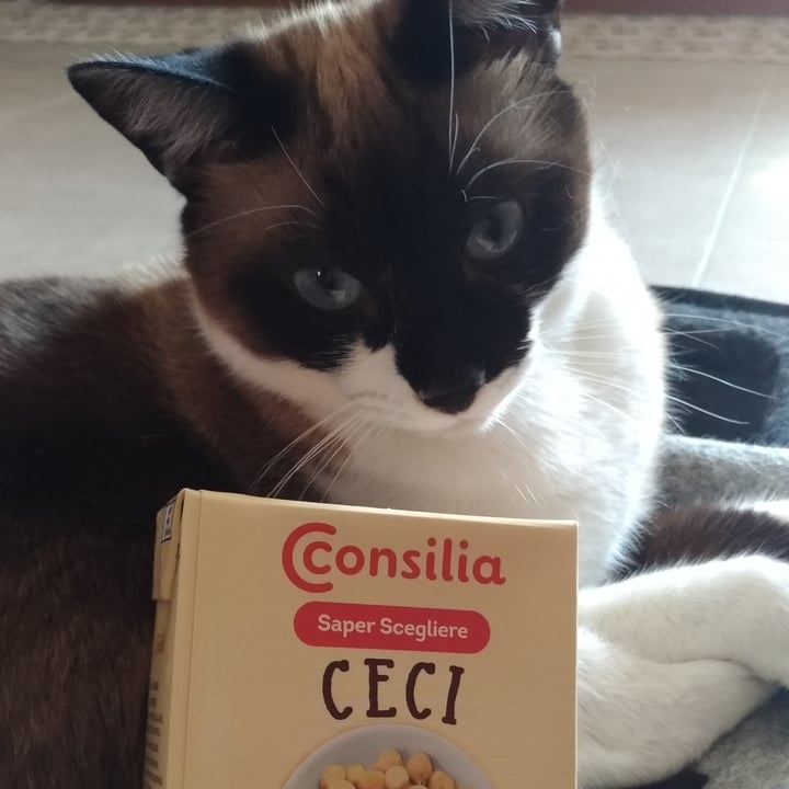 photo of Consilia Ceci shared by @iaia82 on  20 Jul 2021 - review
